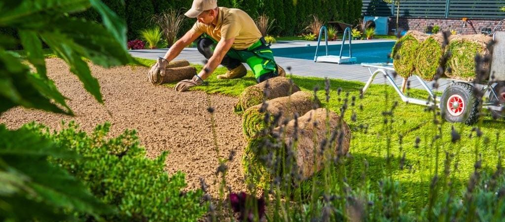 creation_de_jardin creation de jardin par un expert